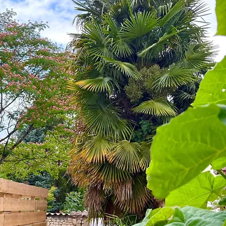 La Parenthese * Saint-Jean-d'Angely