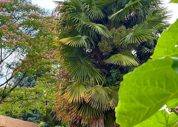 La Parenthese * Saint-Jean-d'Angely